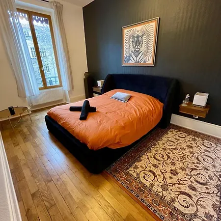 Haussmannian Apartment-close Metro Λυών